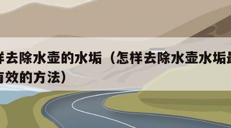 怎样去除水壶的水垢（怎样去除水壶水垢最快最有效的方法）