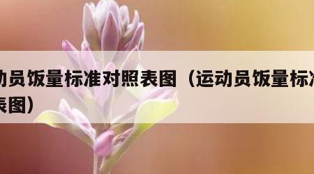 运动员饭量标准对照表图（运动员饭量标准对照表图）