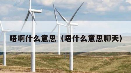 唔啊什么意思（唔什么意思聊天）