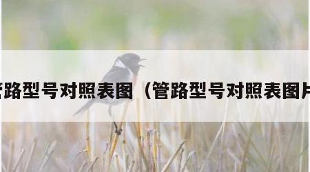 管路型号对照表图（管路型号对照表图片）