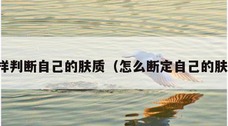 怎样判断自己的肤质（怎么断定自己的肤质）