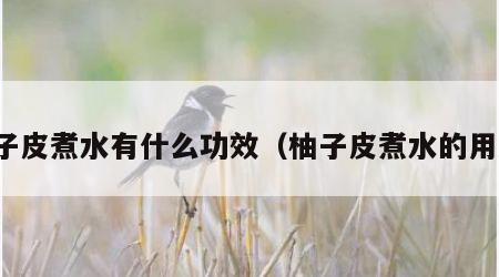 柚子皮煮水有什么功效（柚子皮煮水的用途）