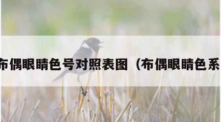 布偶眼睛色号对照表图（布偶眼睛色系）