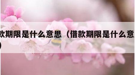借款期限是什么意思（借款期限是什么意思112）
