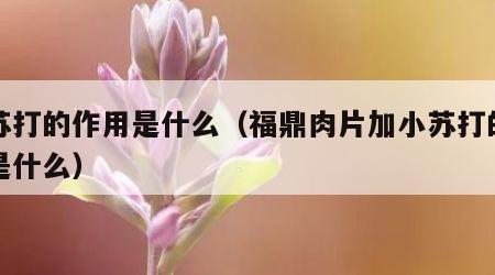 小苏打的作用是什么（福鼎肉片加小苏打的作用是什么）