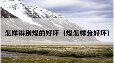 怎样辨别煤的好坏（煤怎样分好坏）