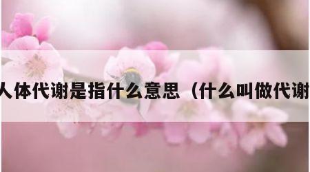 人体代谢是指什么意思（什么叫做代谢）