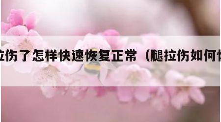 腿拉伤了怎样快速恢复正常（腿拉伤如何恢复）