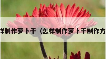 怎样制作萝卜干（怎样制作萝卜干制作方法）