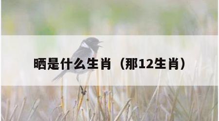晒是什么生肖（那12生肖）