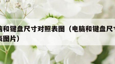 电脑和键盘尺寸对照表图（电脑和键盘尺寸对照表图片）