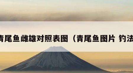 青尾鱼雌雄对照表图（青尾鱼图片 钓法）