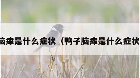 脑瘫是什么症状（鸭子脑瘫是什么症状）