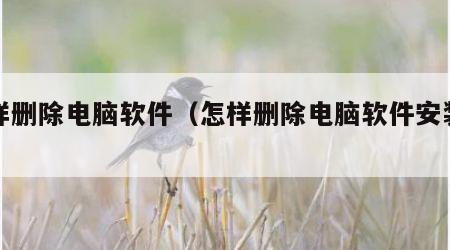 怎样删除电脑软件（怎样删除电脑软件安装包）