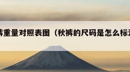 秋裤重量对照表图（秋裤的尺码是怎么标注的）