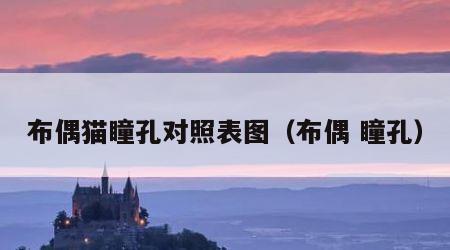 布偶猫瞳孔对照表图（布偶 瞳孔）