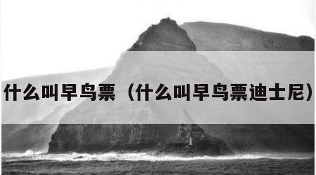 什么叫早鸟票（什么叫早鸟票迪士尼）