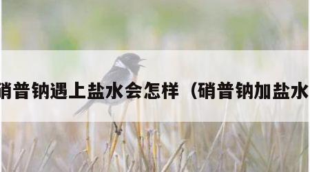 硝普钠遇上盐水会怎样（硝普钠加盐水）