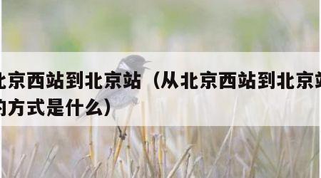 从北京西站到北京站（从北京西站到北京站最快的方式是什么）
