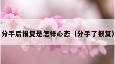 分手后报复是怎样心态（分手了报复）