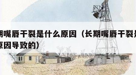 长期嘴唇干裂是什么原因（长期嘴唇干裂是什么原因导致的）