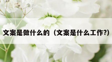 文案是做什么的（文案是什么工作?）