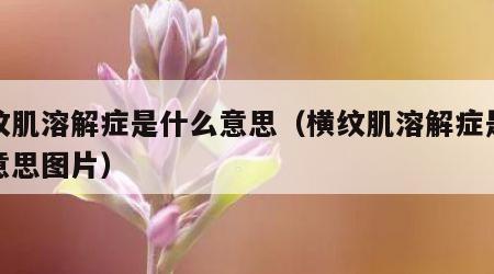 横纹肌溶解症是什么意思（横纹肌溶解症是什么意思图片）