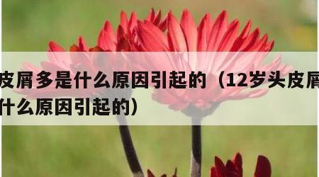 头皮屑多是什么原因引起的（12岁头皮屑多是什么原因引起的）