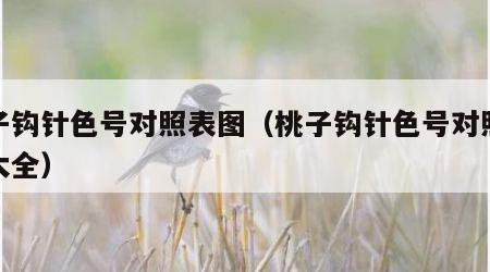桃子钩针色号对照表图（桃子钩针色号对照表图大全）