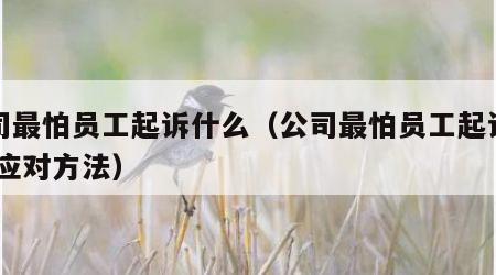 公司最怕员工起诉什么（公司最怕员工起诉什么 应对方法）
