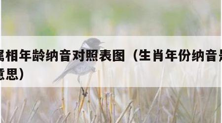各属相年龄纳音对照表图（生肖年份纳音是什么意思）