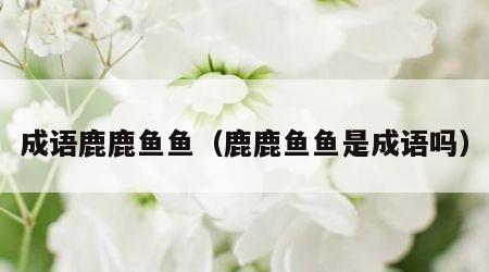 成语鹿鹿鱼鱼（鹿鹿鱼鱼是成语吗）