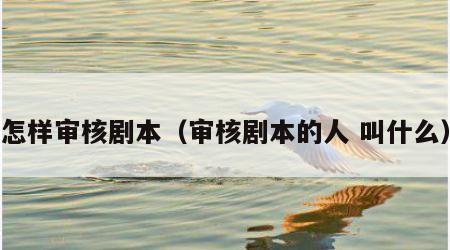 怎样审核剧本（审核剧本的人 叫什么）