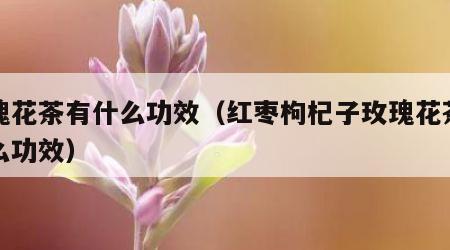 玫瑰花茶有什么功效（红枣枸杞子玫瑰花茶有什么功效）