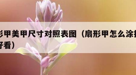 扇形甲美甲尺寸对照表图（扇形甲怎么涂指甲油好看）