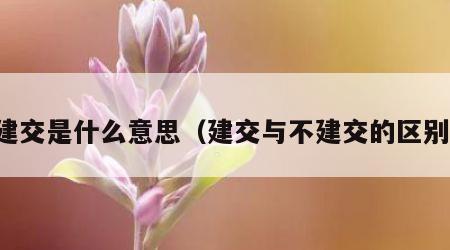建交是什么意思（建交与不建交的区别）
