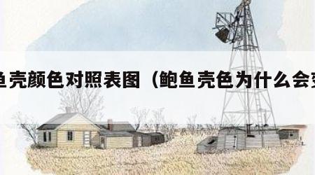 鲍鱼壳颜色对照表图（鲍鱼壳色为什么会变白）