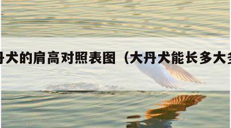 大丹犬的肩高对照表图（大丹犬能长多大多少斤）