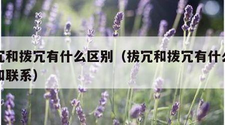 拔冗和拨冗有什么区别（拔冗和拨冗有什么区别和联系）