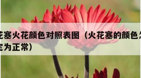 火花塞火花颜色对照表图（火花塞的颜色怎么判定为正常）