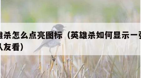英雄杀怎么点亮图标（英雄杀如何显示一张牌给队友看）