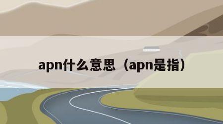 apn什么意思（apn是指）