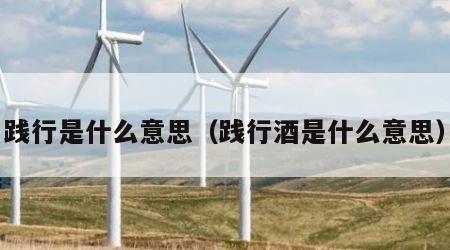 践行是什么意思（践行酒是什么意思）