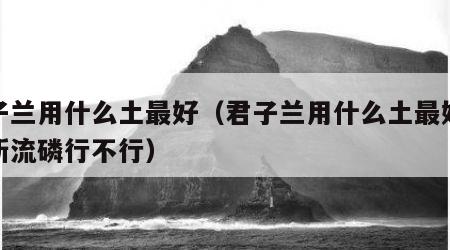 君子兰用什么土最好（君子兰用什么土最好放点新流磷行不行）