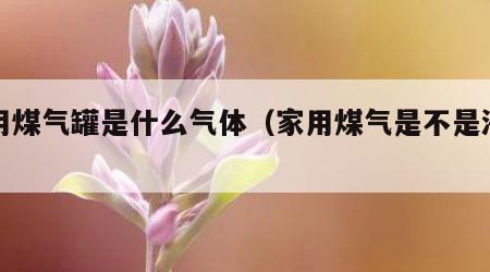 家用煤气罐是什么气体（家用煤气是不是液化气）