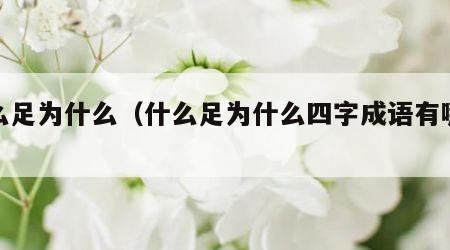 什么足为什么（什么足为什么四字成语有哪些）