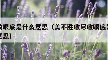 尽收眼底是什么意思（美不胜收尽收眼底是什么意思）