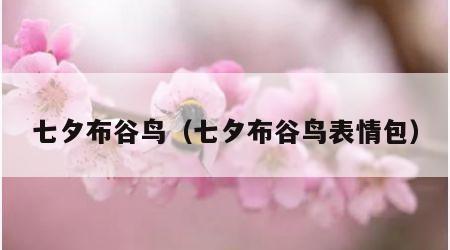 七夕布谷鸟（七夕布谷鸟表情包）