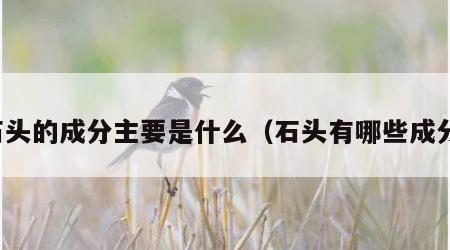 石头的成分主要是什么（石头有哪些成分）