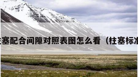 柱塞配合间隙对照表图怎么看（柱塞标准）